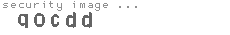 security image