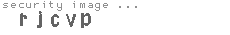security image