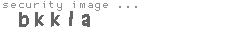 security image