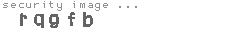 security image