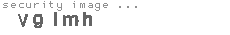 security image