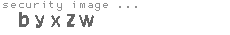 security image