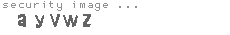 security image