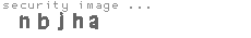 security image
