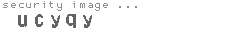 security image