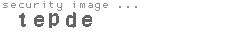 security image