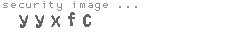 security image