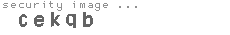 security image