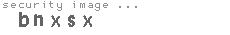 security image