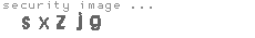 security image