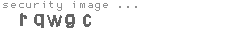 security image