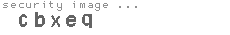 security image