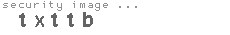 security image