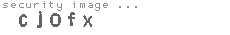 security image