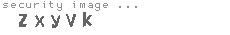 security image