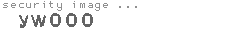 security image