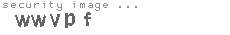 security image