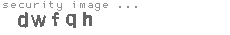 security image