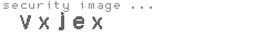 security image