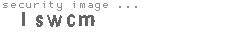 security image
