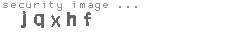 security image