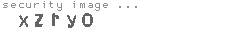 security image