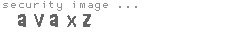 security image