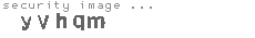 security image