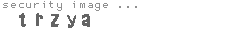 security image