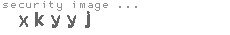 security image