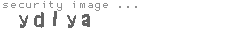 security image