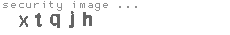 security image