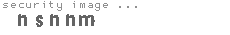 security image