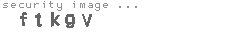 security image