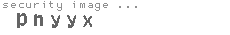 security image
