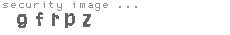 security image