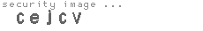 security image