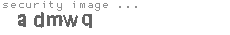 security image