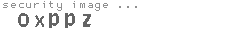 security image