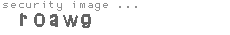 security image