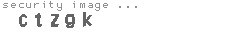 security image