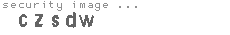 security image