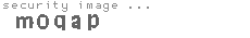 security image