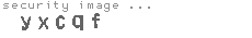 security image