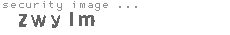 security image