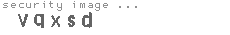 security image