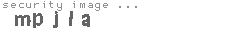 security image