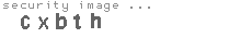 security image