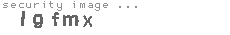 security image