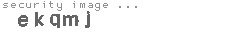 security image